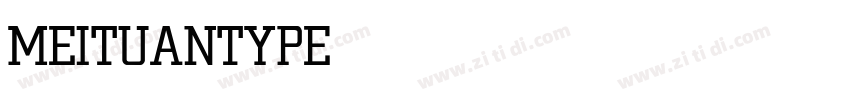 MEITUANTYPE LIGHT字体转换 MEITUANTYPE LIGHT字体转换